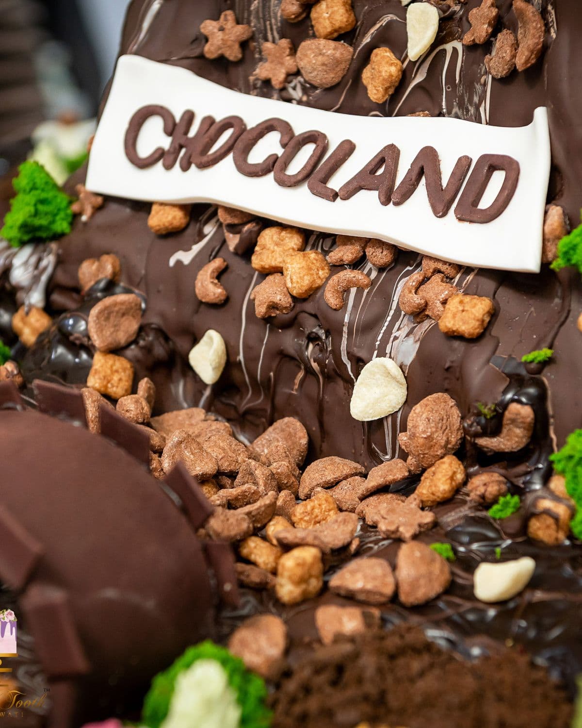 Novelty birthday cake built as a chocolate landscape with rocks, boulders and a hand-piped sign reading Chocoland